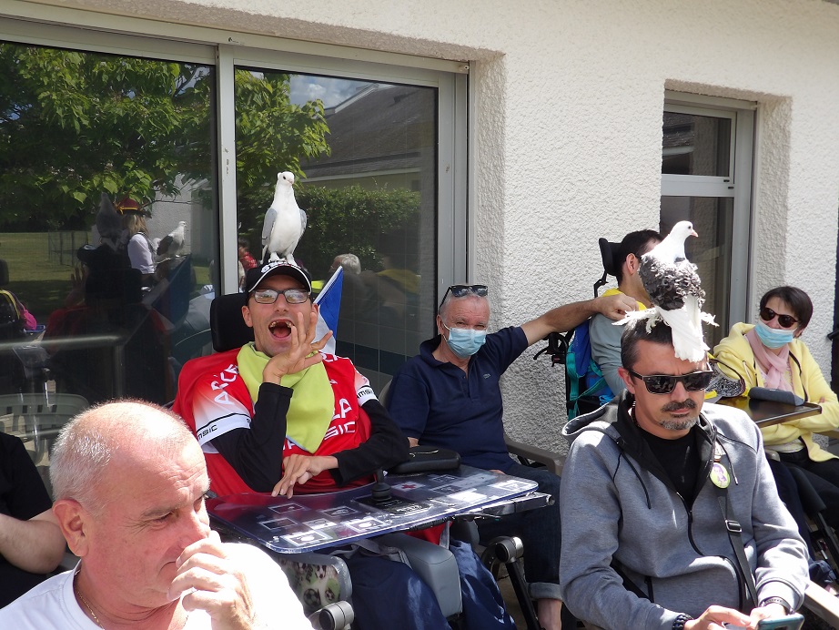 medias/images/actualites/Actu2023/KS_SpectacleOiseaux10.JPG