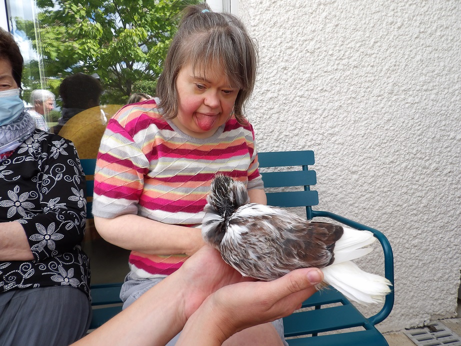 medias/images/actualites/Actu2023/KS_SpectacleOiseaux10.JPG