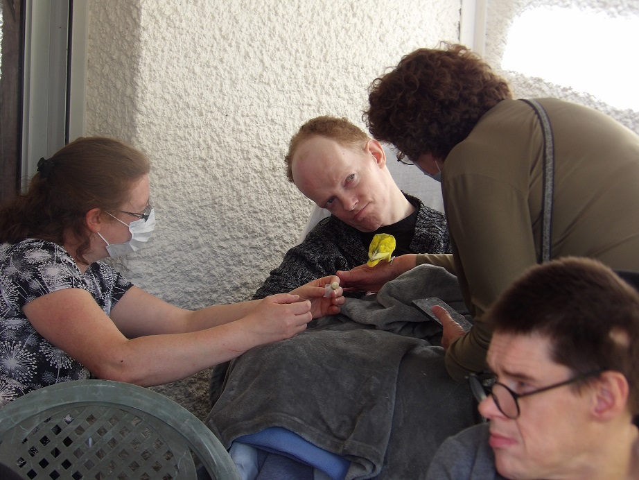 medias/images/actualites/Actu2023/KS_SpectacleOiseaux10.JPG