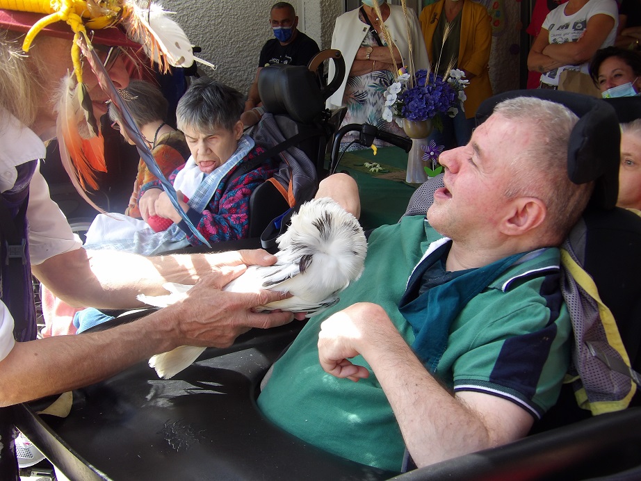 medias/images/actualites/Actu2023/KS_SpectacleOiseaux10.JPG