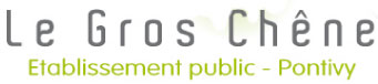 Logo Gros Chêne